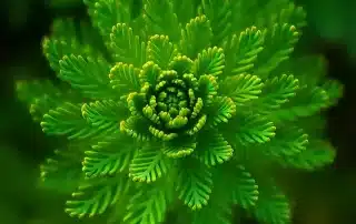 Spécialiste RSE Geneva